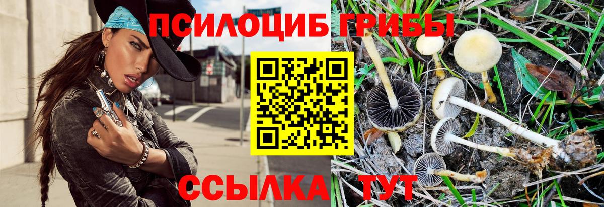 Галлюциногенные грибы Cubensis  Вход с VPN  Галлюциногенные грибы ЛСД  Ростов-на-Дону 